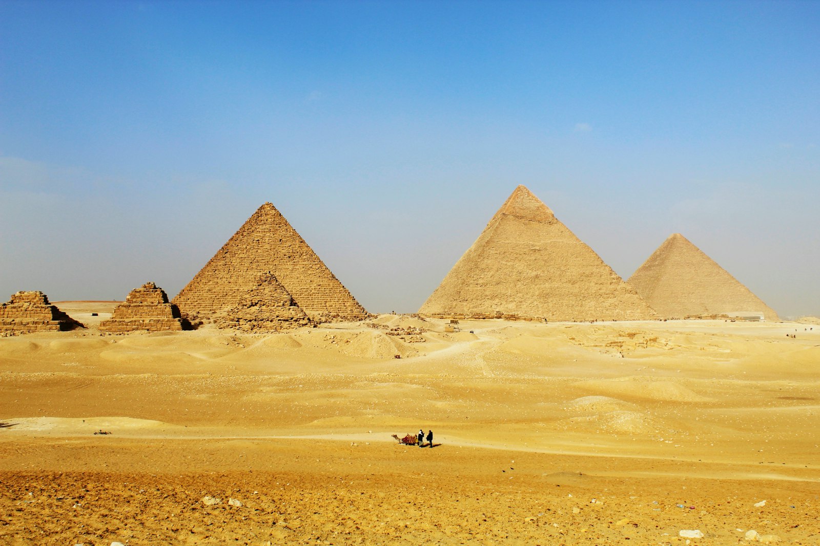 Antiquity Reborn